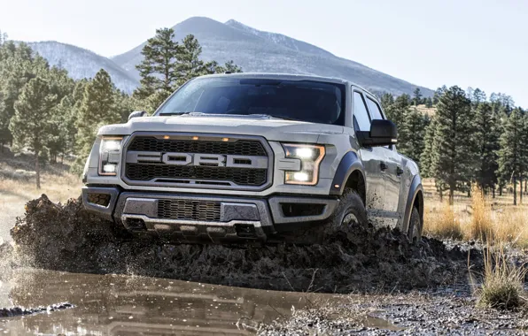 Ford, Raptor, SuperCab, F150