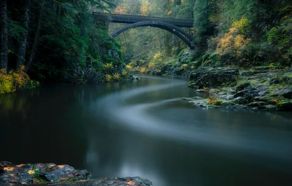 Осень, лес, мост, река, Lewis River, Washington State, Yacolt, Moulton Falls Regional Park