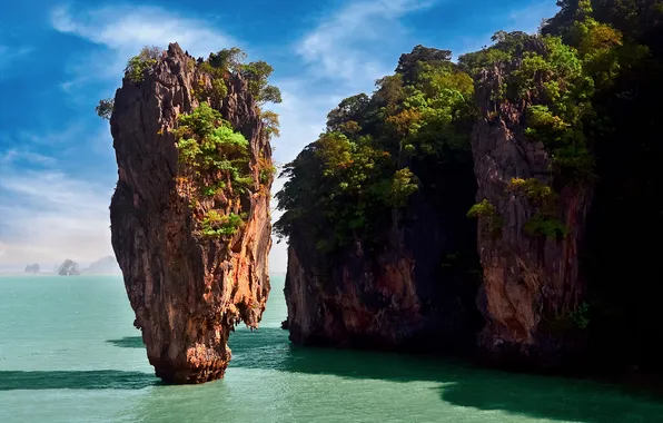 Beach, water, rocks, sand, plants
