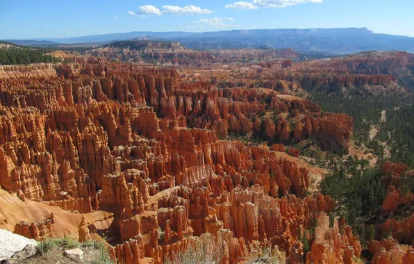 Usa, horizon, travel, bryce canyon, red rocks