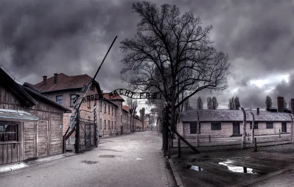 Картинка нуар, Освенцим, Auschwitz, труд делает свободным
