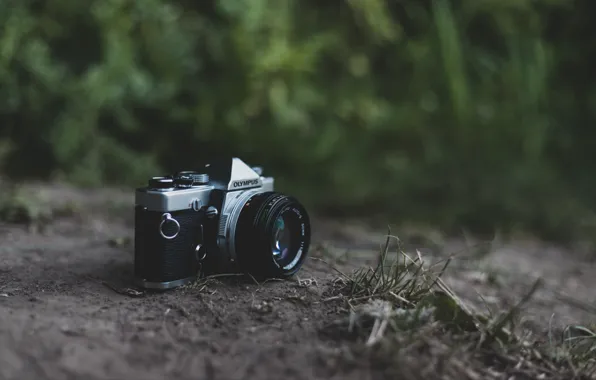 Трава, ретро, камера, olympus, фотоаппапрт, олимпус