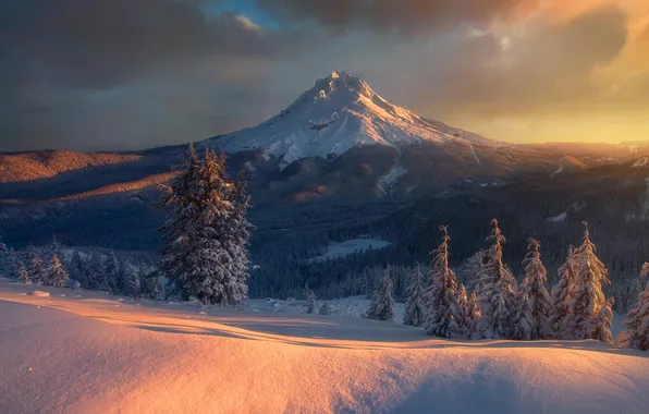 Forest, sky, trees, landscape, nature, mountains, clouds, snow