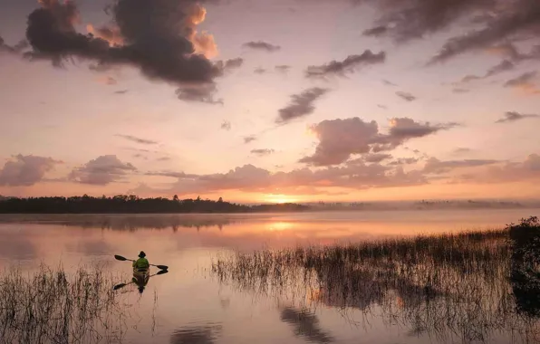 Картинка лес, туман, река, утро