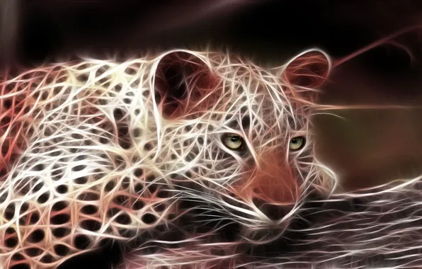 Картинка кошка, хищник, леопард