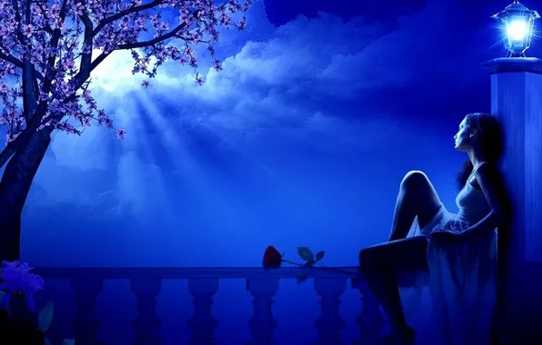 Картинка цветок, девушка, облака, ночь, дерево, луна, фонарь