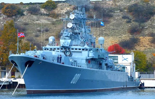 Корабль, сторожевой, проект 1135, Ладный, шифр Буревестник
