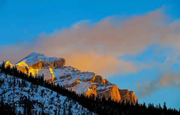 Картинка зима, небо, снег, деревья, закат, скала, гора, склон