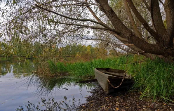 Картинка природа, озеро, лодка