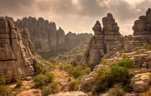 Картинка rocks, plants, desertic