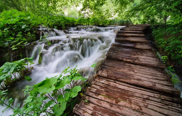 Мост, природа, река