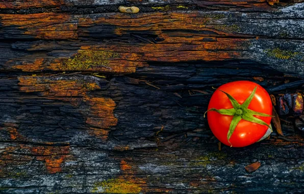 Темный фон, доски, текстура, томат, помидор, овощ