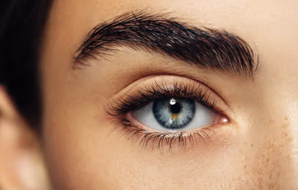 Woman, eye, pupil, eyelids