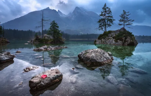 Картинка лес, вода, отражения, деревья, горы, лист, озеро, камни