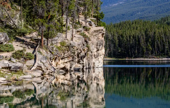 Картинка лес, деревья, горы, озеро, скалы, склон