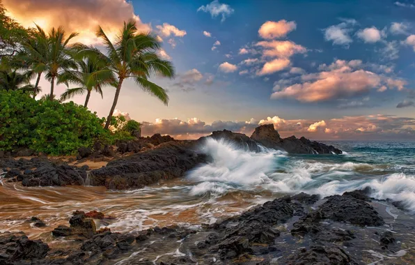 Облака, камни, пальмы, океан, скалы, прибой, гавайи, hawaii