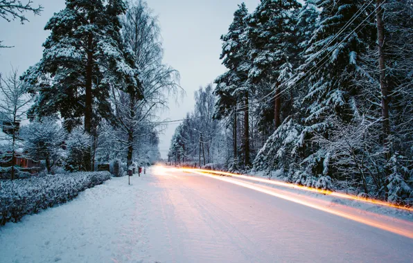 Картинка зима, дорога, снег, деревья, природа, елки, выдержка