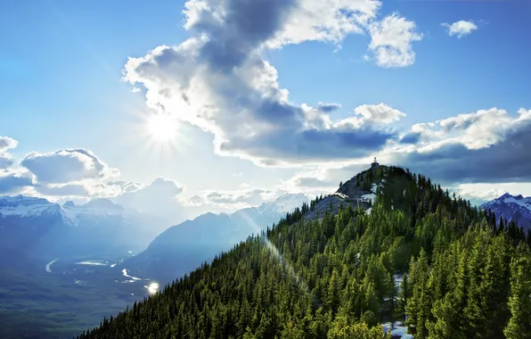Картинка лес, небо, природа, высота, гора, Sulphur Mountain