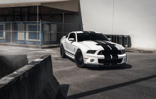 Картинка white, ford, gt500