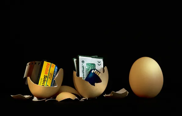 Картинка яйцо, технологии, эволюция, фотоплёнка, ожидание нового, карта памяти