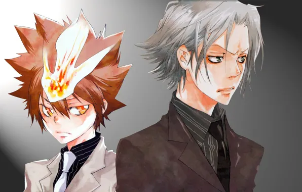 Аниме, парни, мафия, Sawada Tsunayoshi, Katekyo Hitman REBORN!, Gokudera Hayato