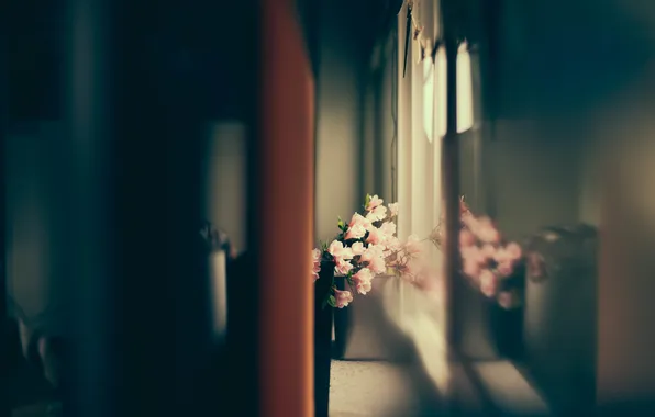 Цветы, лепестки, розовые