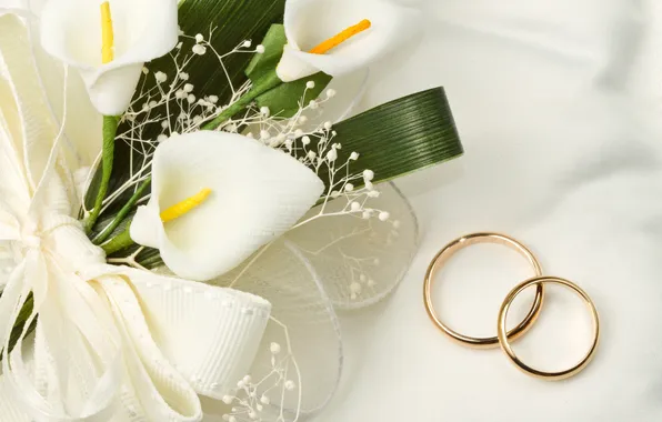 Цветы, wedding, rings, calla