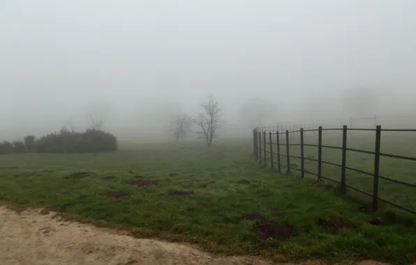 Картинка Поле, Туман, Осень, Fall, Autumn, Fog, Field