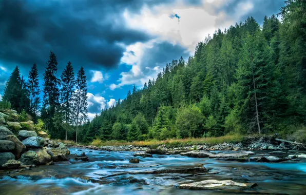 Лес, пейзаж, тучи, природа, река, камни, берега