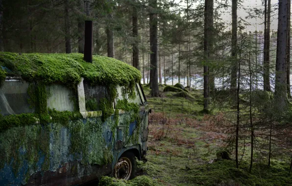 Мох, автобус, лом