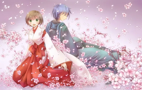 Девушка, цветы, сакура, арт, парень, vocaloid, meiko, kaito