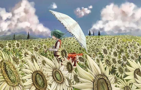 Картинка поле, девушка, облака, деревья, подсолнухи, цветы, зонтик, зонт