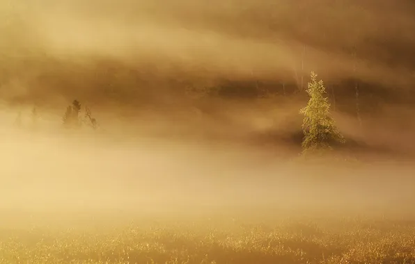 Осень, туман, утро