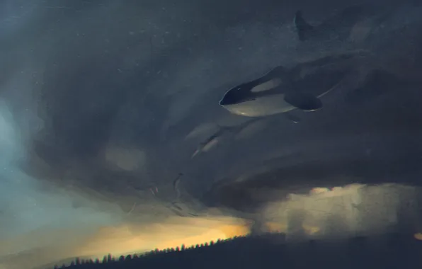 Картинка кит, art, касатка, orca