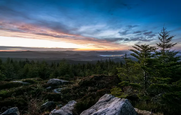 Forest, mountain, Lorraine, Vosges