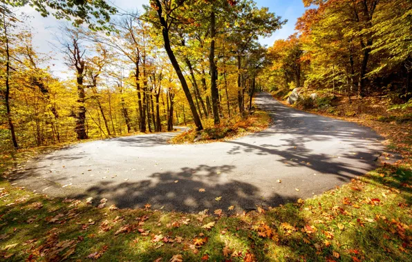 Дорога, осень, поворот