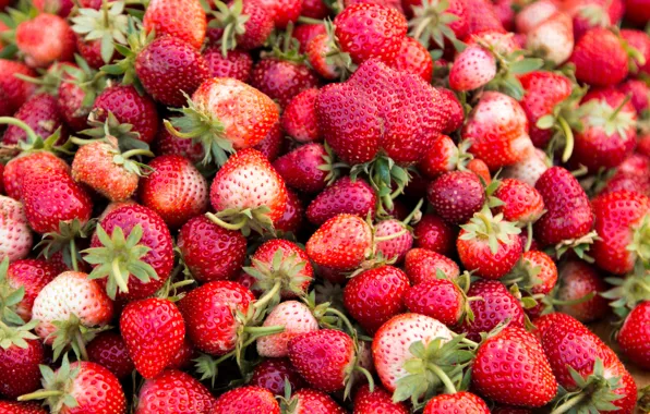 Ягоды, клубника, красные, fresh, спелая, sweet, strawberry, berries