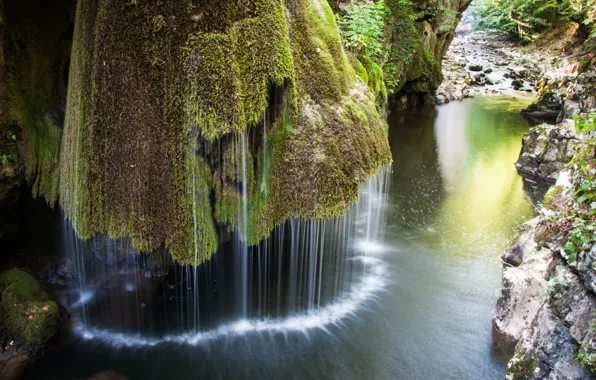 Картинка nature, water, rocks, plants, River, moss, long exposure, rainforest