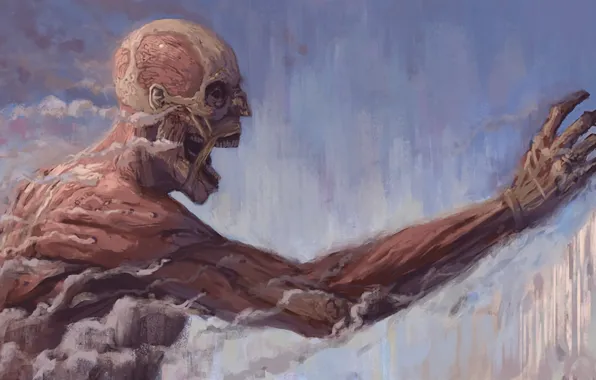 Anime, asian, manga, japanese, asiatic, Shingeki no Kyojin, Attack On Titan, shounen