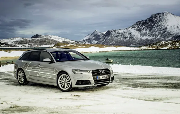 Audi, ауди, TDI, concept, quattro, кватро, Avant, 2015