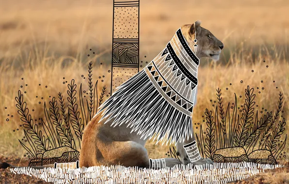 Трава, взгляд, саванна, львица, ANIMAL DOODLES