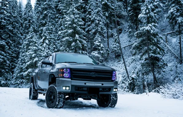 Картинка car, forest, winter, snow, chevrolet silverado, pickup truck