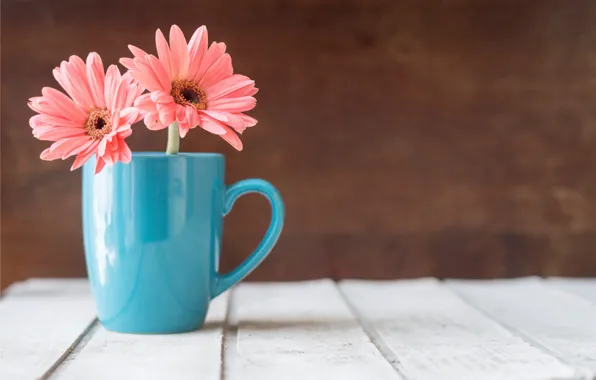 Цветы, кружка, хризантемы, wood, pink, flowers, mug