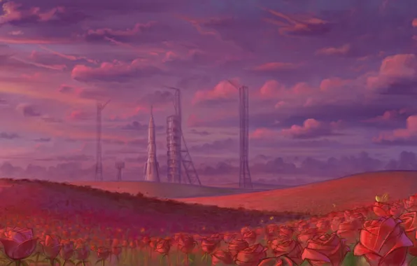 Картинка поле, небо, розы, ракета, космодром