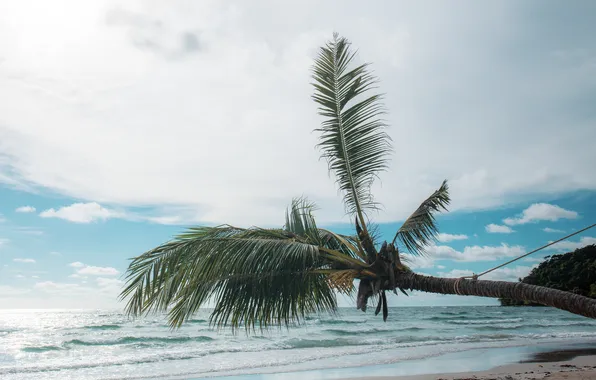 Песок, море, пляж, лето, небо, пальмы, summer, beach