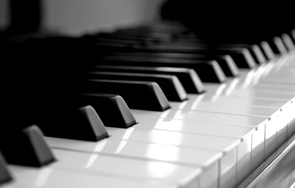 Рояль, клавиши, белые, черные