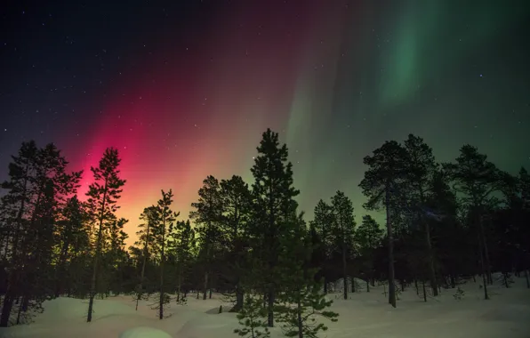 Картинка зима, снег, деревья, красное, свечение, северное сияние, зелёное, Финляндия