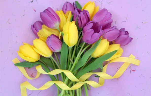 Картинка цветы, букет, лента, тюльпаны, fresh, yellow, flowers, tulips