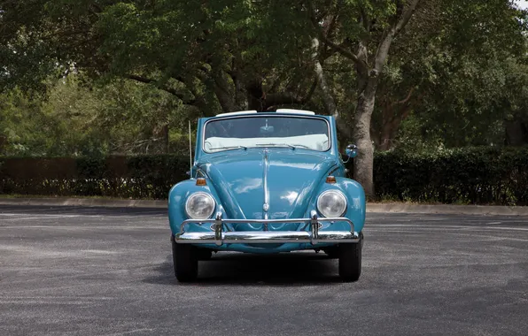 Volkswagen, Beetle, ретро автомобили, Cabriolet, 1963, retro cars, Volkswagen Beetle Cabriolet