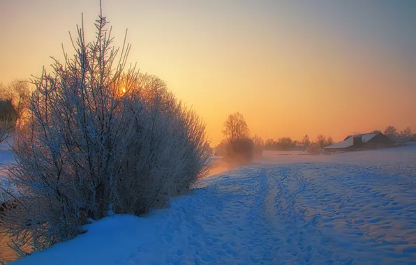 River, trees, winter, snow, morning, fog, houses, sunrise